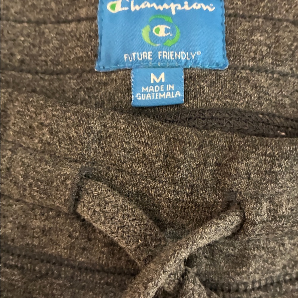 Champion  gray Sweatpants with Michigan Print - Picture 3 of 3